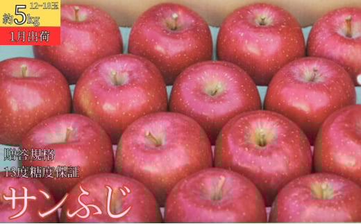 1 Ki Tӂ5kgi12`18j13xxۏ؁yX񂲁E䂤AbvE1zX16000ʕEt[c