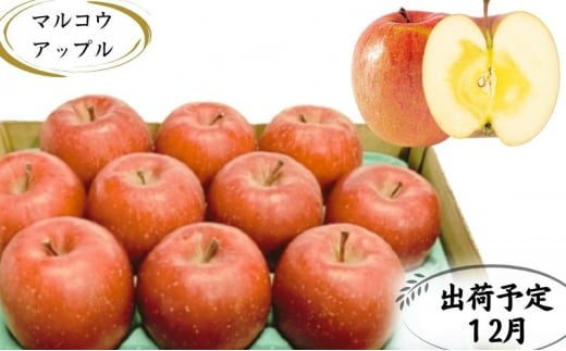 y12z󂠂 ƒp Tӂ 3kgyX񂲁E}REAbvzX14000ʕEt[c񂲁E