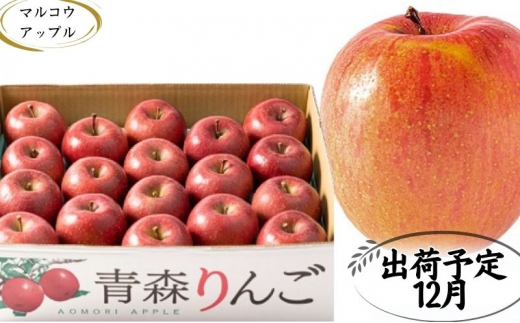 y12z ƒpZTӂ5kg@x13xȏy󂠂zXÌy񂲐X16000ʕEt[c񂲁E