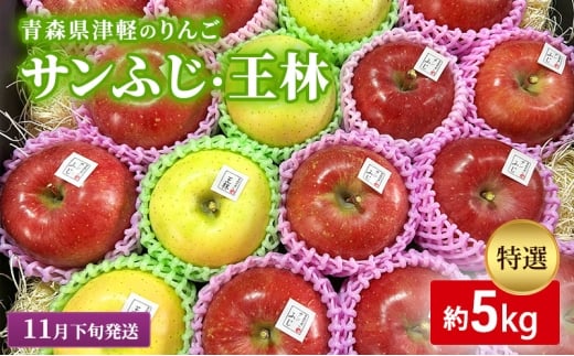 【11月下旬発送】【里いちみfarm】青森県津軽のりんご 特選「サンふじ・王林」約5kg青森県板柳町35000果物・フルーツりんご・梨