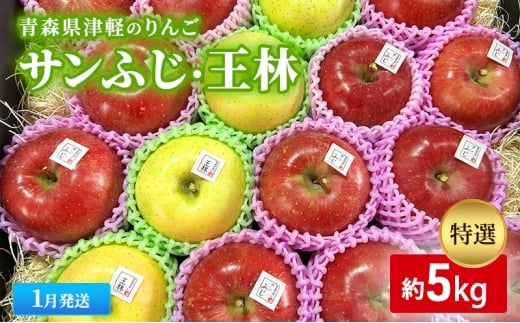 【1月発送】【里いちみfarm】青森県津軽のりんご 特選「サンふじ・王林」約5kg青森県板柳町35000果物・フルーツりんご・梨