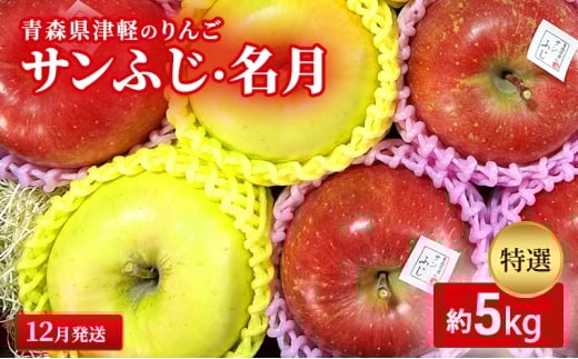 【12月発送】【里いちみfarm】青森県津軽のりんご 特選「サンふじ・名月」約5kg青森県板柳町35000果物・フルーツりんご・梨