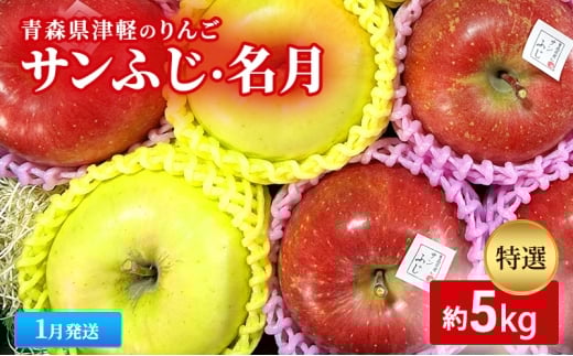 【1月発送】【里いちみfarm】青森県津軽のりんご 特選「サンふじ・名月」約5kg青森県板柳町35000果物・フルーツりんご・梨