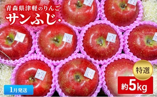 【1月発送】【里いちみfarm】青森県津軽のりんご 特選「サンふじ」約5kg青森県板柳町35000果物・フルーツりんご・梨