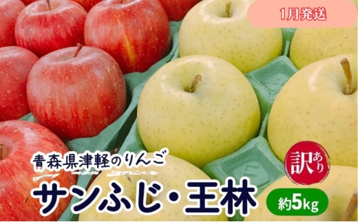 y1zy󂠂zXÌŷ񂲁uTӂEсv5kgyfarmzX16000ʕEt[c񂲁E