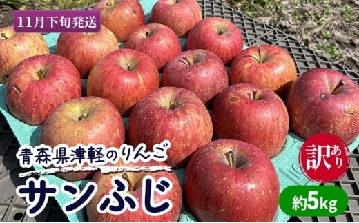 【11月下旬発送】【訳あり】青森県津軽のりんご「サンふじ」約5kg【里いちみfarm】青森県板柳町16000果物・フルーツりんご・梨