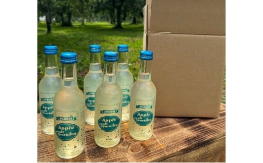 アップルクラフトスパークリング 1箱 250ml×6本【配達不可:沖縄県・離島】青森県板柳町14000お茶・飲料その他 お茶・飲料