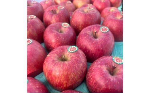 XÌŷ uTӂvGi 1i 3kg yzBsFꌧEzX16000ʕEt[c񂲁E