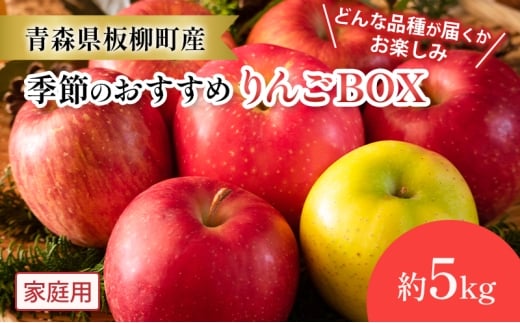 【どんな品種が届くかお楽しみ】季節のおすすめりんごBOX/家庭用/詰め合わせ/約5kg 青森県 りんご リンゴ 林檎 フルーツ くだもの 果物青森県板柳町17000果物・フルーツりんご・梨