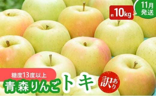【11月発送】(糖度13度以上) 訳あり品 家庭用 トキ 約 10kg 【 青森りんご 果物類 美味しい 採れたて 選りすぐり 高糖度 12度 ご家庭用 甘さ 驚き 果汁 土壌 肥料  】青森県板柳町20000果物・フ