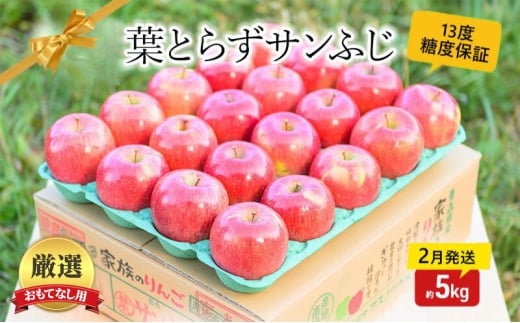 【 2月発送 】 糖度13度以上 おもてなし用 家庭用 葉とらず サンふじ 約 5kg 【 青森りんご 】 果物 フルーツ デザート 食後 青森県産 産地直送青森県板柳町20000果物・フルーツりんご・梨