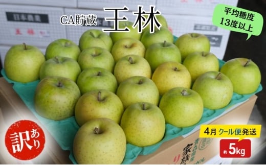 りんご 【4月クール便発送】 平均糖度13度以上 訳あり品 家庭用 CA貯蔵 王林 約 5kg 【 青森りんご 】 フルーツ リンゴ 青森県 王林りんご 家庭用 ジューシー青森県板柳町16000果物・フルーツり