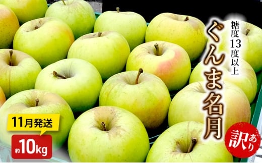 りんご【11月発送】糖度13度以上 訳あり品 家庭用 ぐんま名月 約10kg【青森りんご】青森県板柳町21000果物・フルーツりんご・梨