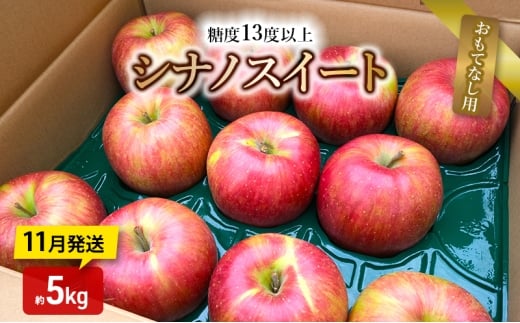 りんご【11月発送】糖度13度以上 シナノスイート おもてなし用 家庭用 約5kg【青森りんご】青森県板柳町17000果物・フルーツりんご・梨