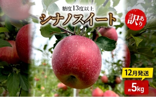 りんご【12月発送】糖度13度以上 訳あり品 家庭用 シナノスイート 約5kg【青森りんご】青森県板柳町15000果物・フルーツりんご・梨