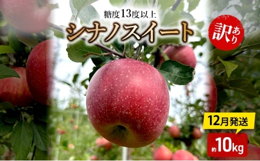 りんご【12月発送】糖度13度以上 訳あり品 家庭用 シナノスイート 約10kg【青森りんご】青森県板柳町21000果物・フルーツりんご・梨