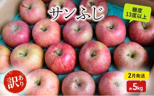 りんご【2月発送】糖度13度以上 訳あり品 家庭用 サンふじ 約5kg【青森りんご】果物類 フルーツ 林檎 リンゴ 弘前市 青森県 おやつ デザート青森県板柳町19000果物・フルーツりんご・梨