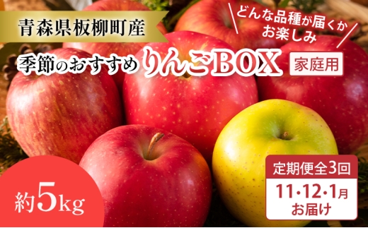 yw3zyǂȕi킪͂y݁zG߂̂߂BOX/ƒp/lߍ킹/11E12E1/5kg@X  S ь t[c  ʕX51000ʕ