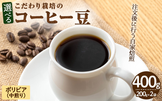 ͔|̃R[q[({rA)(v400gE200g×2)ym70-02zyN BLOOD COFFEE ROASTERSz{ʎs9000ER[q[Eg