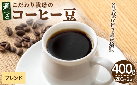こだわり栽培のコーヒー豆(ブレンド)(計400g・200g×2袋)【m70-05】【N BLOOD COFFEE ROASTERS】大阪府箕面市8000お茶・飲料コーヒー・紅茶