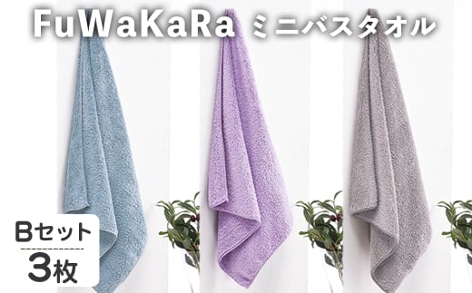 FuWaKaRa ~joX^I(BZbg(u[Ap[vAO[)Ev3) ym95-04-BzyPz{ʎs8000G݁EpiQE^I