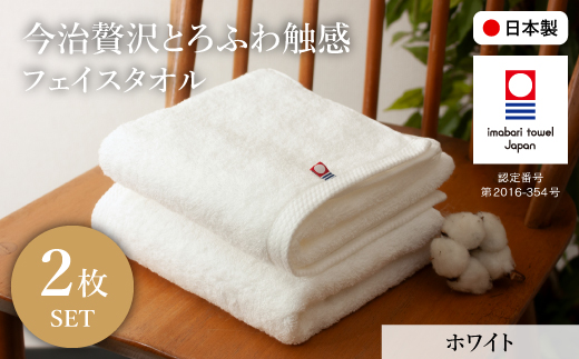 ґƂӂG tFCX^I(zCg×2) ym100-10-BzygN_z{ʎs6000G݁EpiQE^I