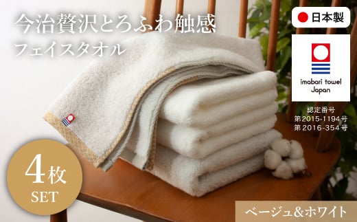 ґƂӂG tFCX^I(x[W×2AzCg×2) ym100-10-FzygN_z{ʎs11000G݁EpiQE^I