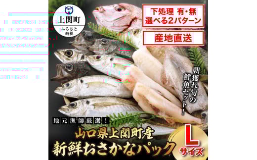 B-11 新鮮おさかなパック(Lサイズ/鮮魚)山口県上関町20000魚介・海産物鮮魚