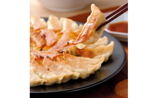 【中華チェーン福しん】おうちで福しん餃子チャレンジセット(餃子480個)埼玉県毛呂山町34000肉その他 肉