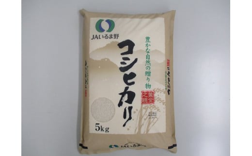 【令和7年産米】埼玉県産 コシヒカリ 5キロ埼玉県毛呂山町20000米・パン白米