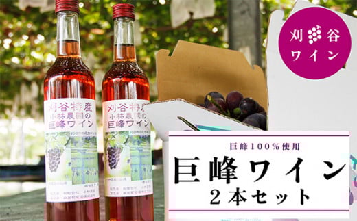 No.070 小林農園 巨峰ワイン2本セット / お酒 ロゼワイン 葡萄 ブドウ 愛知県 特産品愛知県刈谷市10000酒・アルコールワイン
