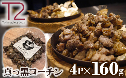 No.132 ^R[`@160g×4p ^ {On{ ÉR[`  mmJs10000ZbgE؁EHHi
