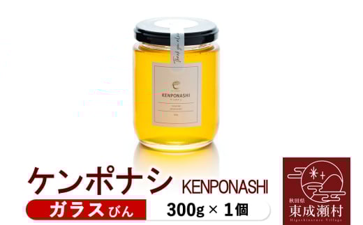 KENPONASHI P|iV 300g×1iKXтjHc9000ZbgE؁EHHiWE݂͂