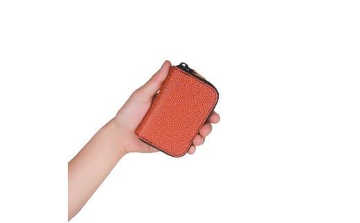 RCp[XiEhj / uE M102LLs55000ߗށEiEH|iz