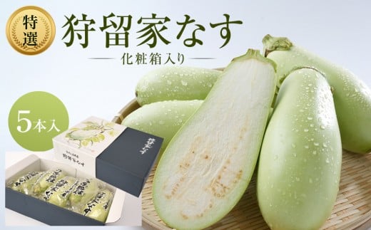 狩留家なす5本入(化粧箱入)広島県広島市10000野菜・きのこその他 野菜
