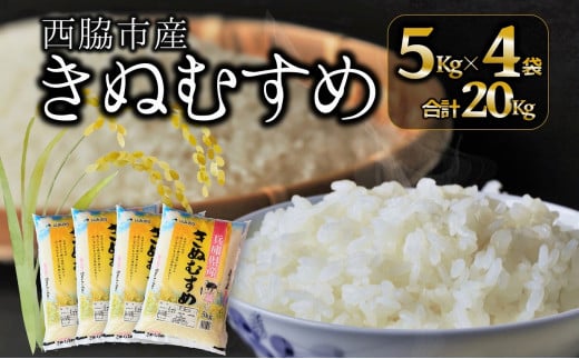【ブランド米 きぬむすめ】精米20kg(5kg×4)(38.5-3)兵庫県西脇市38500米・パン白米