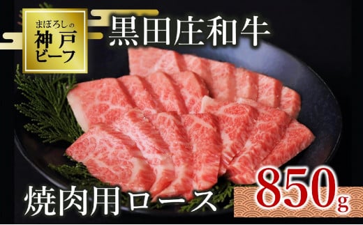 【神戸ビーフ素牛】【スピード発送】特選 黒田庄和牛(焼肉用ロース、850g)(50-4) 肉 お肉 牛肉 焼肉 焼き肉 赤身 モモ肉 BBQ 便利 神戸ビーフ 神戸牛 黒田庄和牛 高級黒毛和牛兵庫県西脇市500