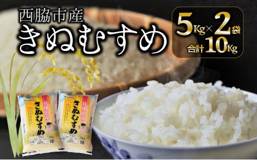 【ブランド米 きぬむすめ】精米10kg(5kg×2)(19.5-3)兵庫県西脇市19500米・パン白米