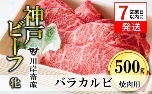【神戸牛 牝】【7営業日以内発送】バラカルビ焼肉:500g 川岸畜産 (17-1)兵庫県西脇市17000肉牛肉