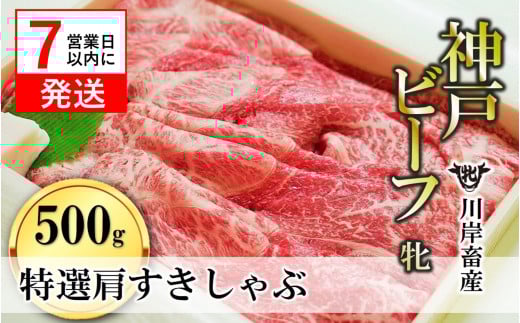 【神戸牛 牝】【7営業日以内発送】特選肩すき焼き・しゃぶしゃぶ用:500g 川岸畜産 (29-4)兵庫県西脇市29000肉牛肉