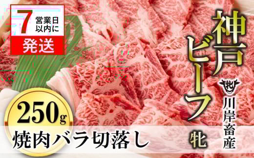 【神戸牛 牝】【7営業日以内発送】バラ焼肉切落し:250g 川岸畜産 (15-36)兵庫県西脇市15000肉牛肉