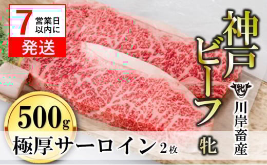 期間限定品【神戸牛 牝】【7営業日以内発送】極厚サーロインステーキ:2枚 約500g 川岸畜産 (40-9)兵庫県西脇市40000肉牛肉