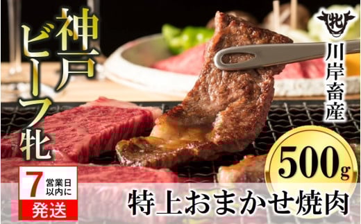 【神戸牛 牝】【7営業日以内発送】特上 焼肉 おまかせセット(500g)(25-10)兵庫県西脇市25000肉牛肉
