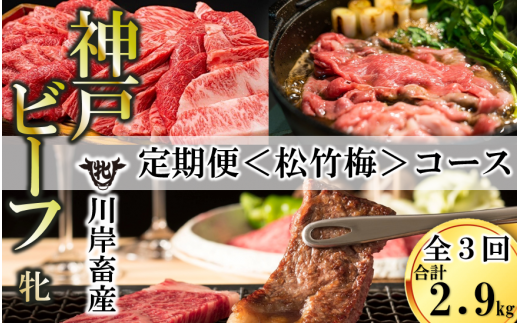 【神戸牛 牝 定期便】いろんな神戸ビーフを味わう〈松竹梅〉定期便コース(合計2,900g) (300-5)兵庫県西脇市300000肉牛肉