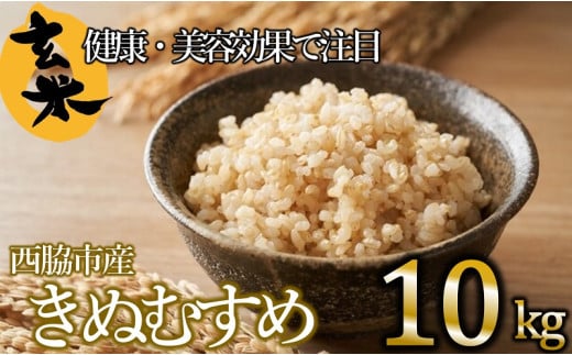 【きぬむすめ】令和6年産 新米 玄米10kg(10kg×1袋)(19-42) 健康志向の方におすすめ 米 お米 こめ コメ きぬむすめ 人気 玄米 健康兵庫県西脇市19000米・パン玄米・雑穀米・もち米・餅