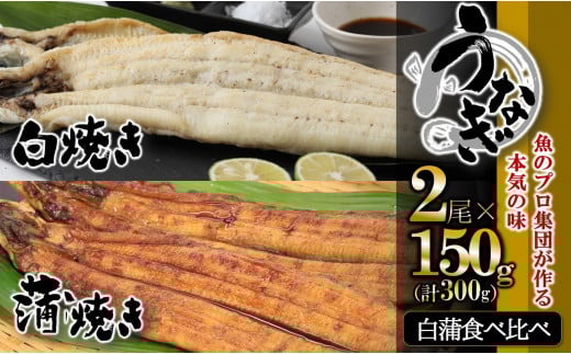 【活うなぎ・一色産】蒲焼き×白焼き 食べ比べセット(各1尾×150g)(22-59)兵庫県西脇市22000魚介・海産物うなぎ