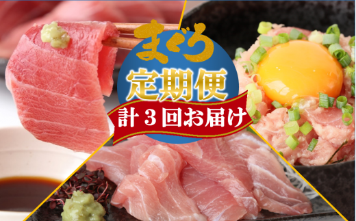 【計3回お届け】天然マグロ定期便 計1.3s(23-4)兵庫県西脇市23000魚介・海産物鮮魚