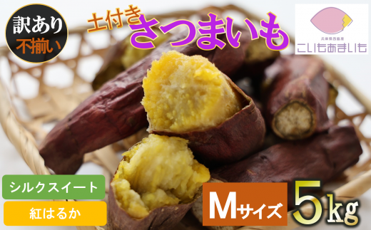 【訳あり】超熟成蜜芋 土付きふそろいさつまいも「こいもあまいも」Mサイズ 合計5kg(075-4) 紅はるか兵庫県西脇市7500野菜・きのこじゃがいも・イモ類