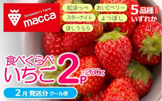 「ひょうご推奨ブランド」認証「西脇市産いちご食べくらべセット」(1箱2パック)令和8年2月上旬配送分〜いちご畑macca〜(06-39)兵庫県西脇市6000果物・フルーツいちご