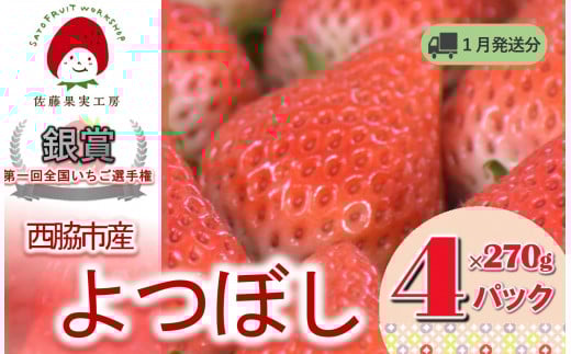 《2026年産先行予約》「西脇市産 佐藤果実工房のよつぼし」(約270g×4パック 約1,080g)【佐藤果実工房 全国いちご選手権銀賞受賞農園 TVで紹介!】令和8年1月下旬配送分(12-42)兵庫県西
